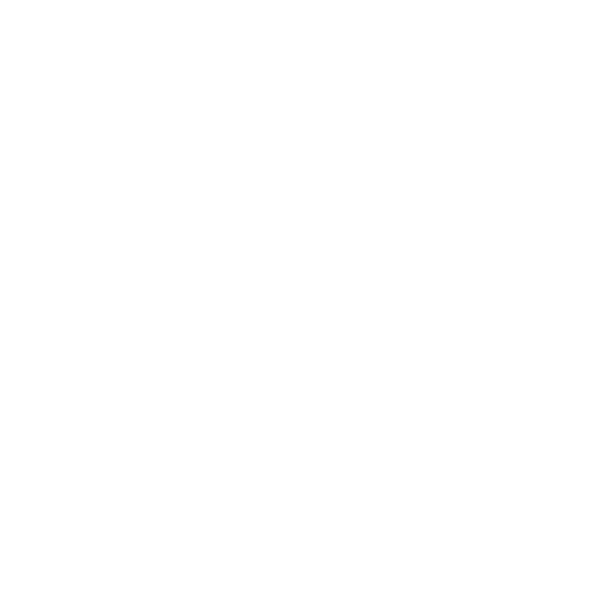 Apex Logo Icon 2020